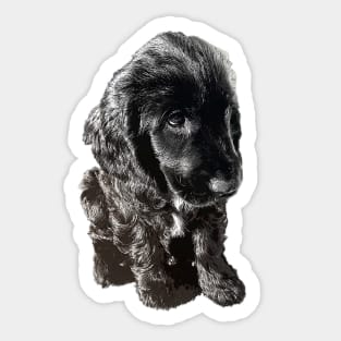 English Cocker Spaniel Black Puppy Dog - Adorable! Sticker